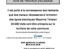 Travaux Elagage ERDF 