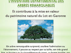 Inventaire des Arbres remarquables