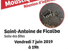 Moustique tigre - Réunion d'information - le 7 juin à St Antoine